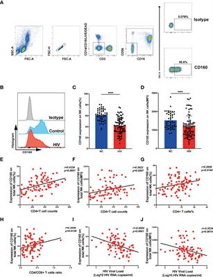 CD160 Promotes NK Cell Functions by Upregulating Glucose Metabolism and Negatively Correlates With HIV Disease Progression